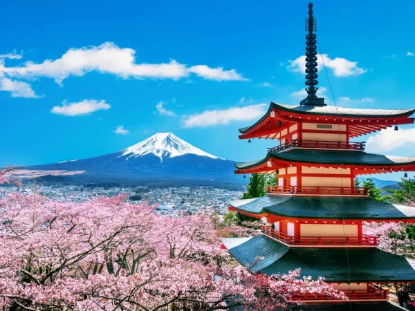 Timor Leste → Jepang